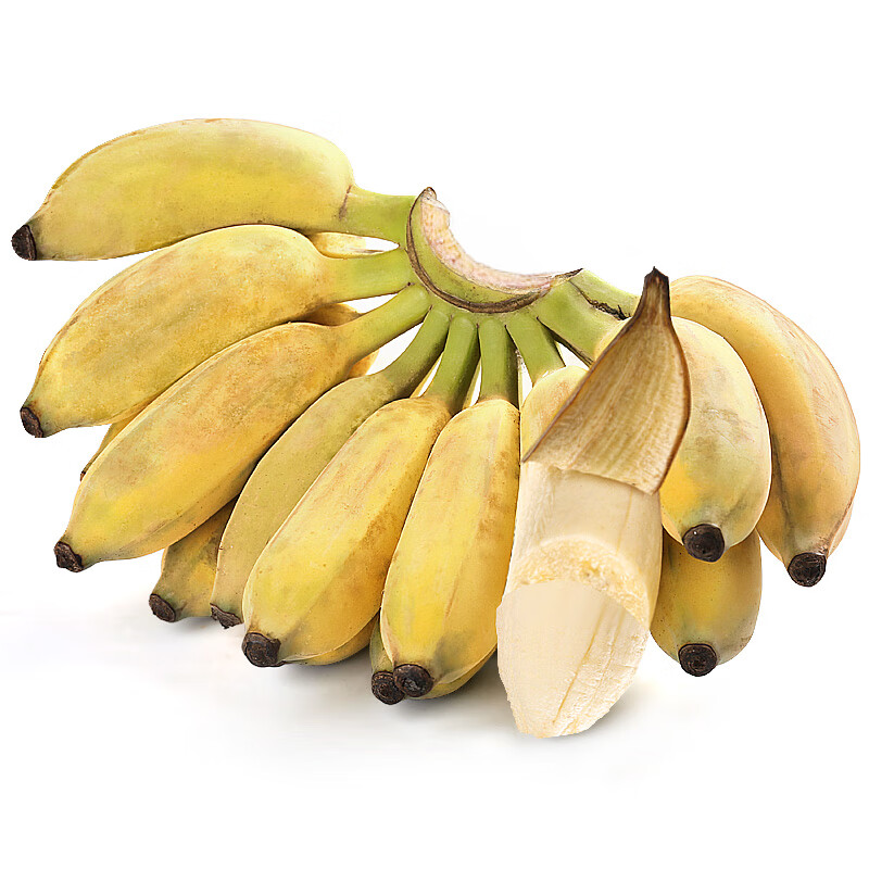 贵州大芭蕉香蕉 当季新鲜水果无催熟大蕉牛角蕉小米蕉应季批发 5斤装
