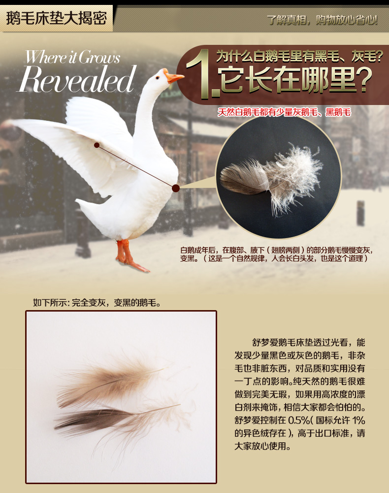 舒梦爱正品加厚白鹅毛羽绒床垫床褥 标准单层可折叠酒店单双人学生褥子垫被 200x200+10cm