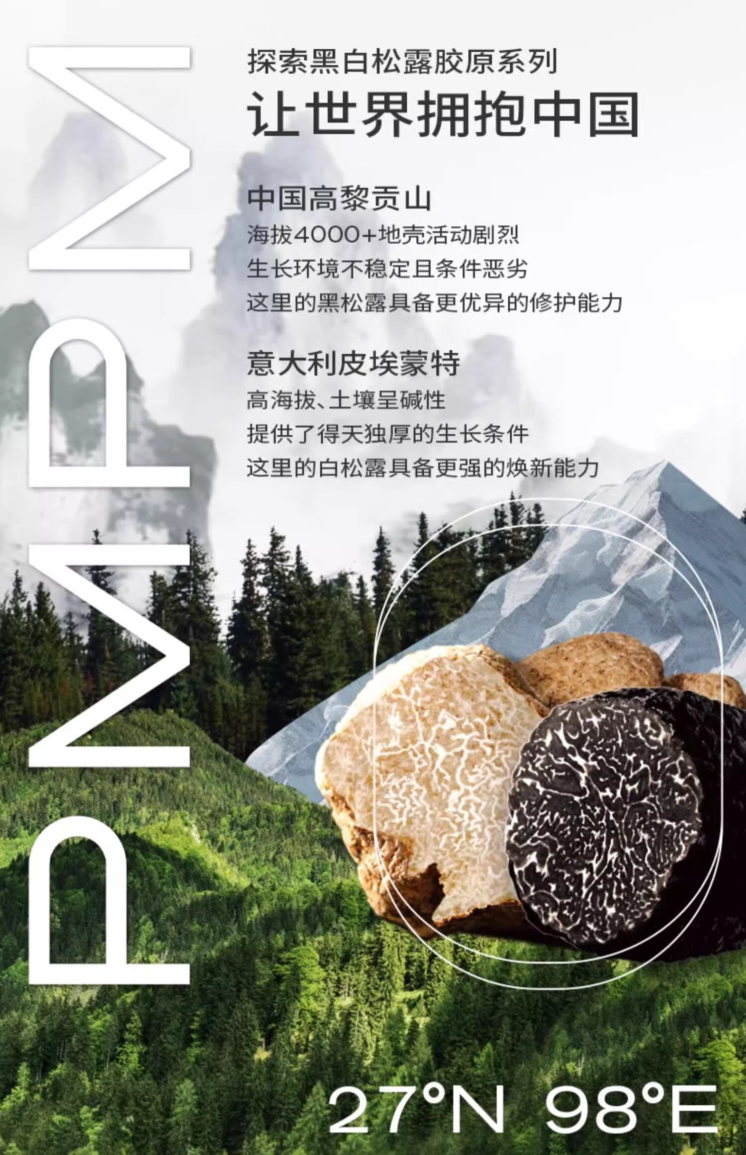 PMPM松露胶原瓶能量瓶紧致舒缓抗皱修护提亮油液精华 【体验装】胶原瓶1.0  10ml