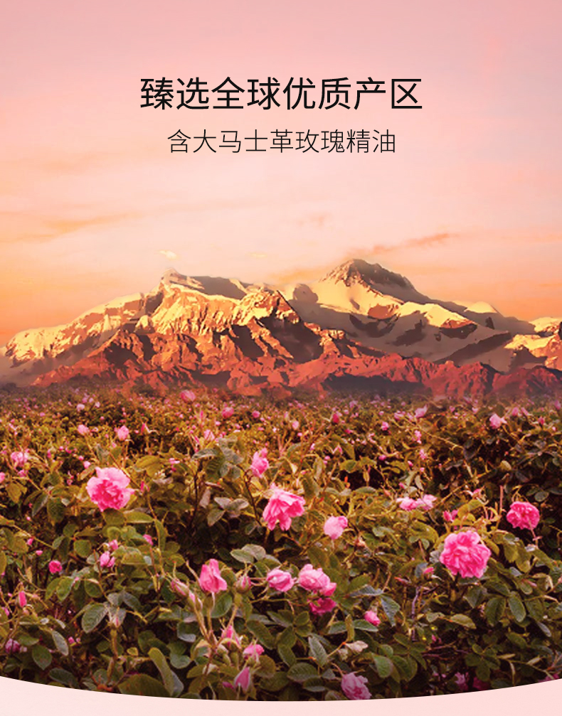 IN ESSENCE澳洲ie精油玫瑰身体按摩油基础油100ml spa腿部保湿刮痧推背通经络