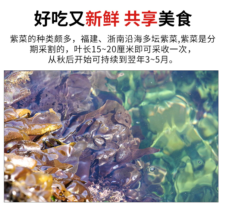 详情页_04.jpg