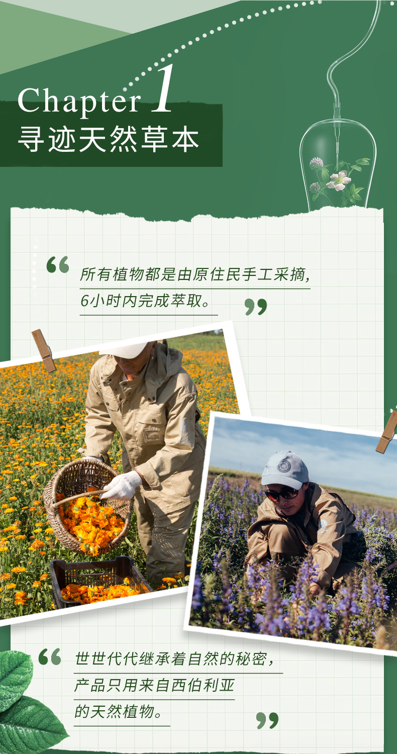 婀卡菲娅老奶奶 俄罗斯Russia国家馆进口面膜100ml 紫色舒缓*6