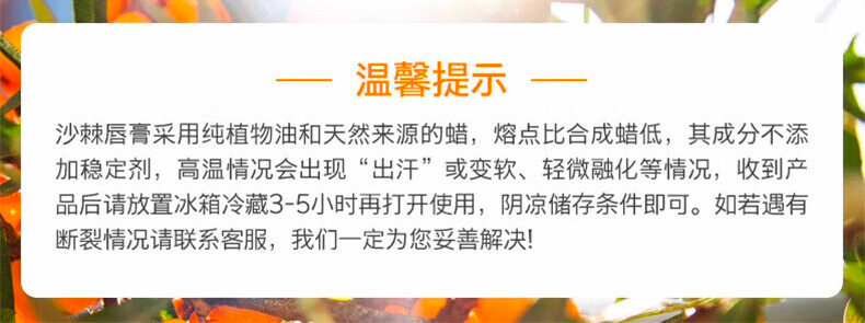 天露芬日夜修护去死皮德国进口唇膏 保湿滋润淡化唇纹防干裂润唇膏唇膜 沙棘唇膏4.8g
