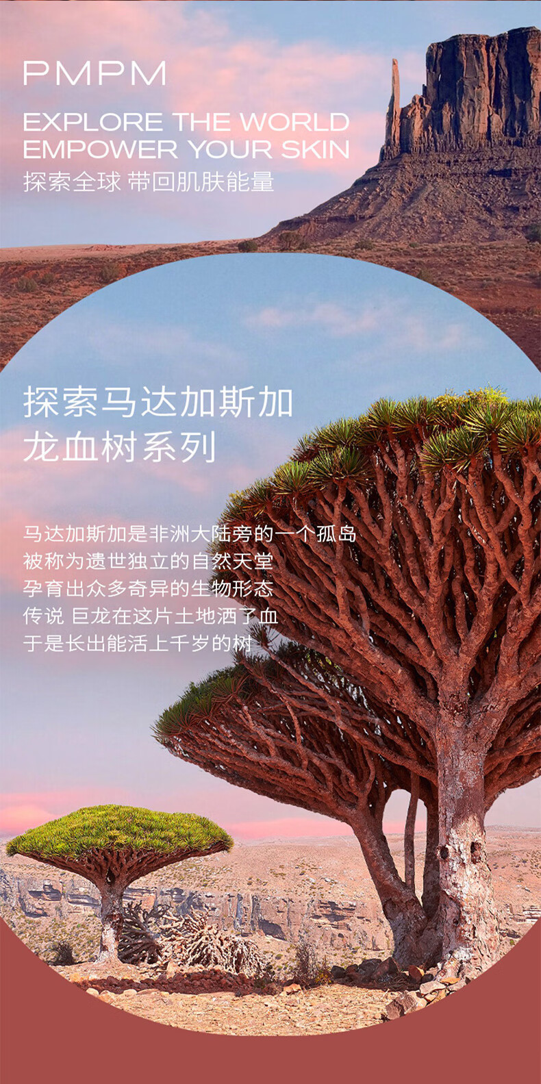 PMPM水杨酸清洁泥膜乳糖酸泥膜补水涂抹面膜清洁毛孔 水杨酸清洁泥膜40g