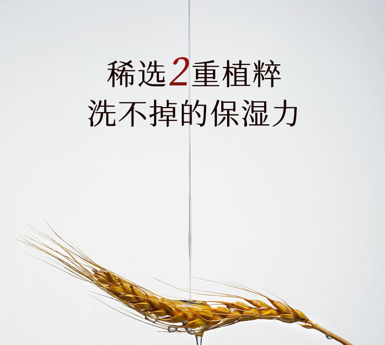 稀物集 松茸菌菇氨基酸洁面乳温和不刺激去油清洁毛孔油皮男女士 稀物集氨基酸洁面乳50g