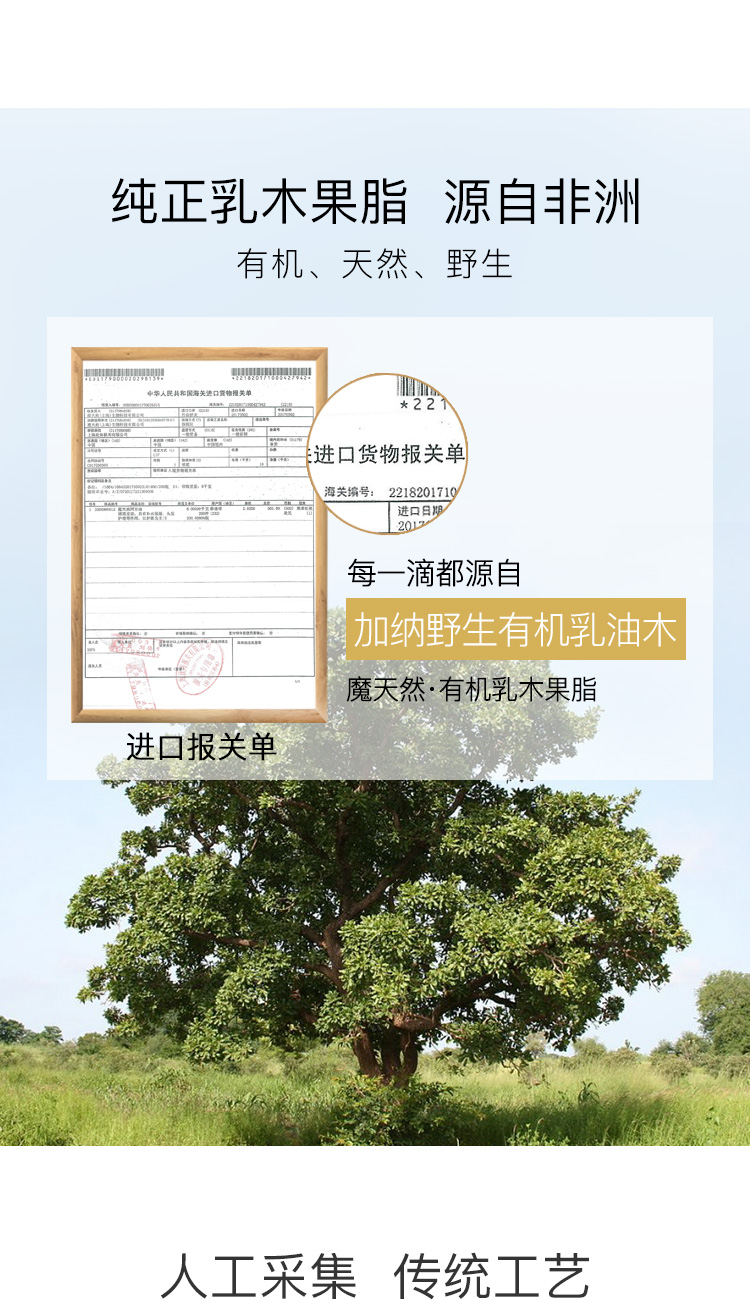 魔天然【加纳进口】有机乳木果油 非洲乳木果脂未精制 面霜(锁水保湿) 100g