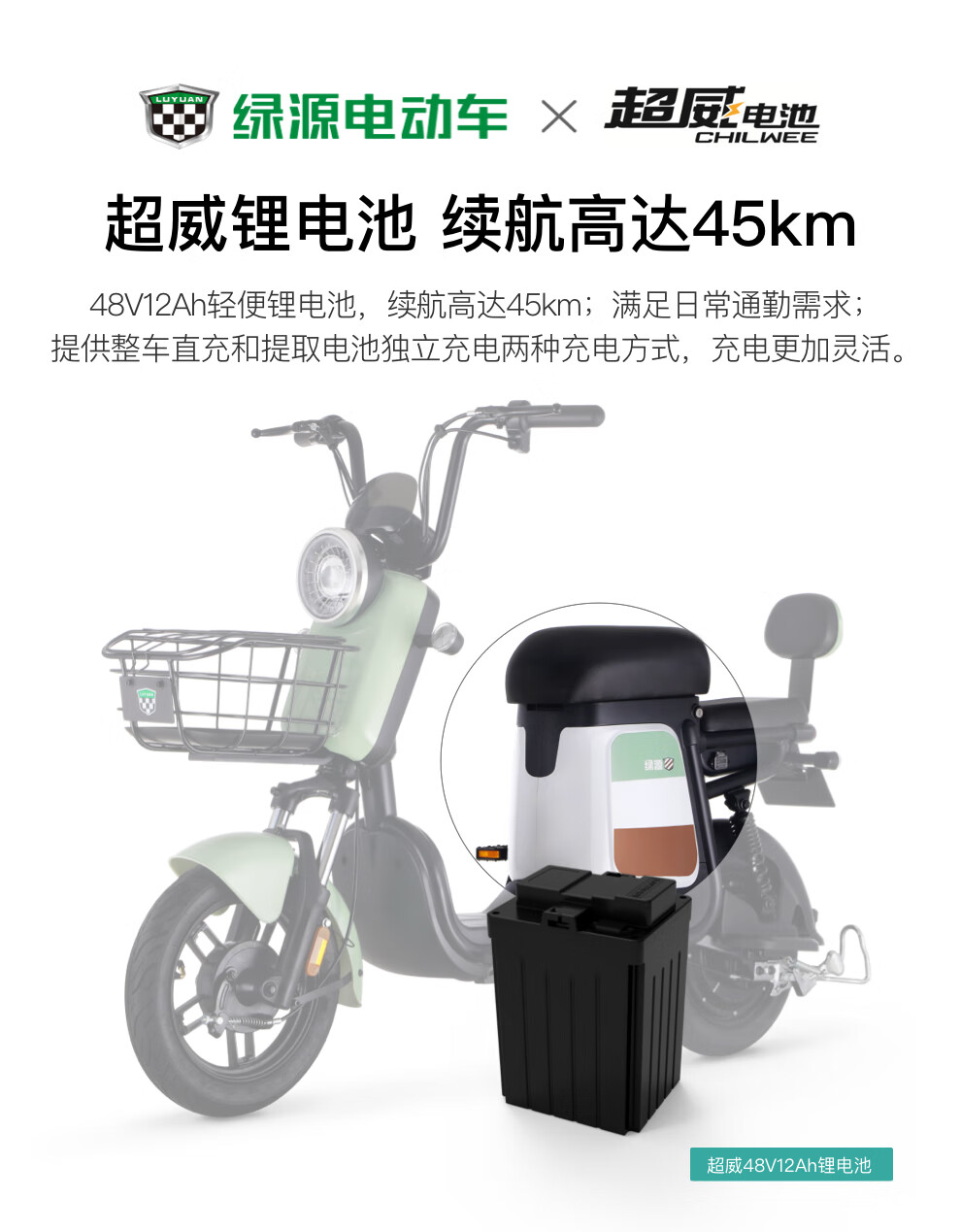 绿源电动车_LUYUAN 绿源 ZFB 电动自行车 TDT2112Z