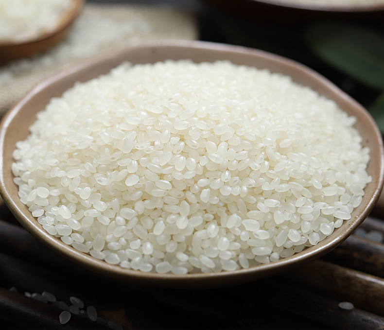 万年贡 雪玉寒野香米  10kg东北大米 黑土寒地香米 圆粒珍珠米