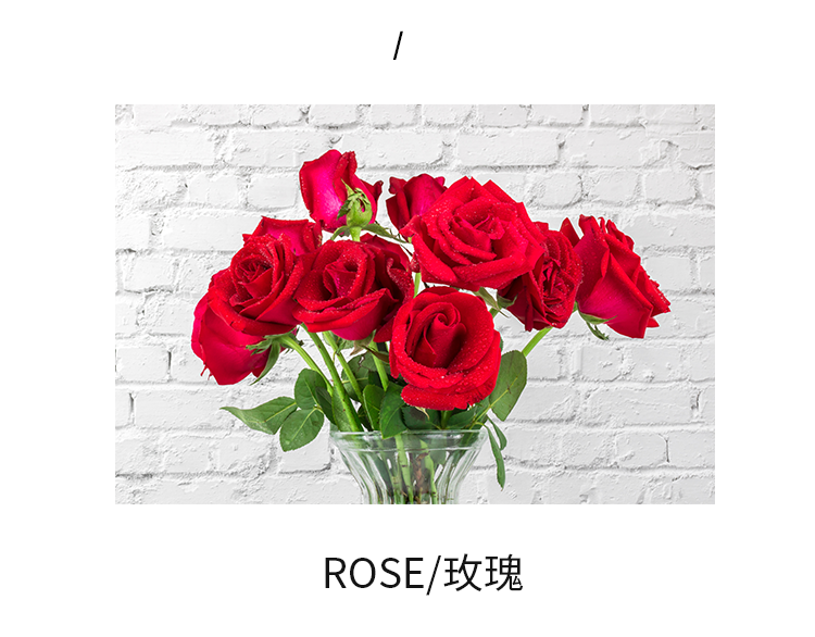 柏世曼（poacherman）玫瑰香水ROSE 玫瑰花味玫瑰味香水持久留香女士花香调香水香氛 2玫瑰30ml