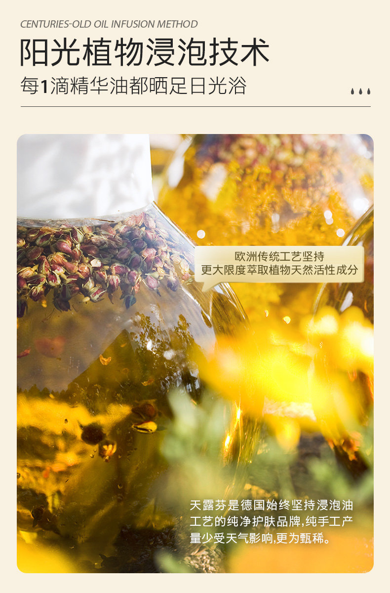 天露芬赋活精华油德国精华液 抗皱抗糖抗氧化 送女友生日小礼物 眼霜2ml*2【24年6月到期】