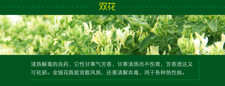 
                                        
                                                            绿驰 植物精华去除甲醛苯除油漆味喷雾剂 除味除臭去烟味分解异味净化剂 非空气清新剂 500ml                