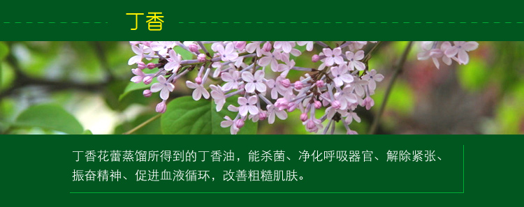 
                                        
                                                            绿驰 植物精华去除甲醛苯除油漆味喷雾剂 除味除臭去烟味分解异味净化剂 非空气清新剂 500ml                