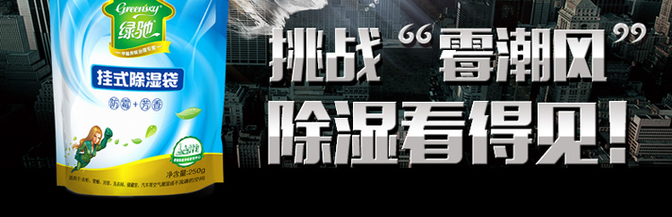 绿驰(Greensky) 衣柜衣服可挂式除湿袋干燥剂防潮剂 室内房间汽车吸潮桶抽吸湿盒器防霉包