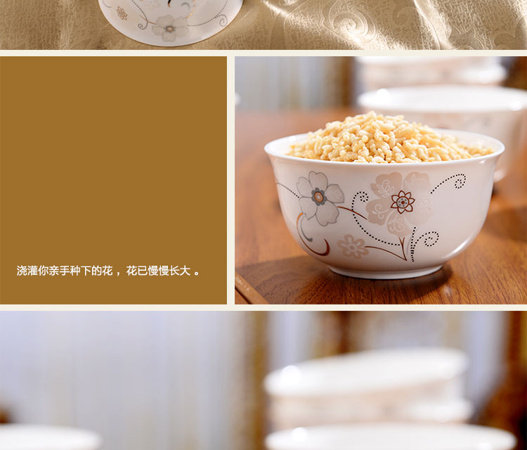 亿嘉IJARL 剑林景德镇陶瓷4.5英寸韩式饭碗10件套装 花语冬樱