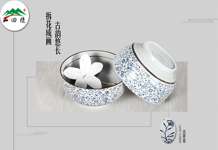 
                                        
                                        山田烧汤碗 陶瓷碗套装(7英寸)釉下彩面碗日式面碗大汤碗(2只装) 吉祥花                