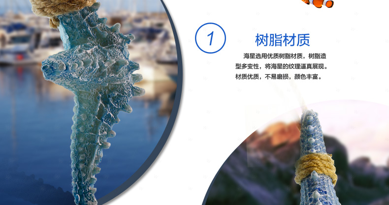Snnei 阳光海岸丰收海星 创意家居墙饰壁饰 墙上装饰品壁挂