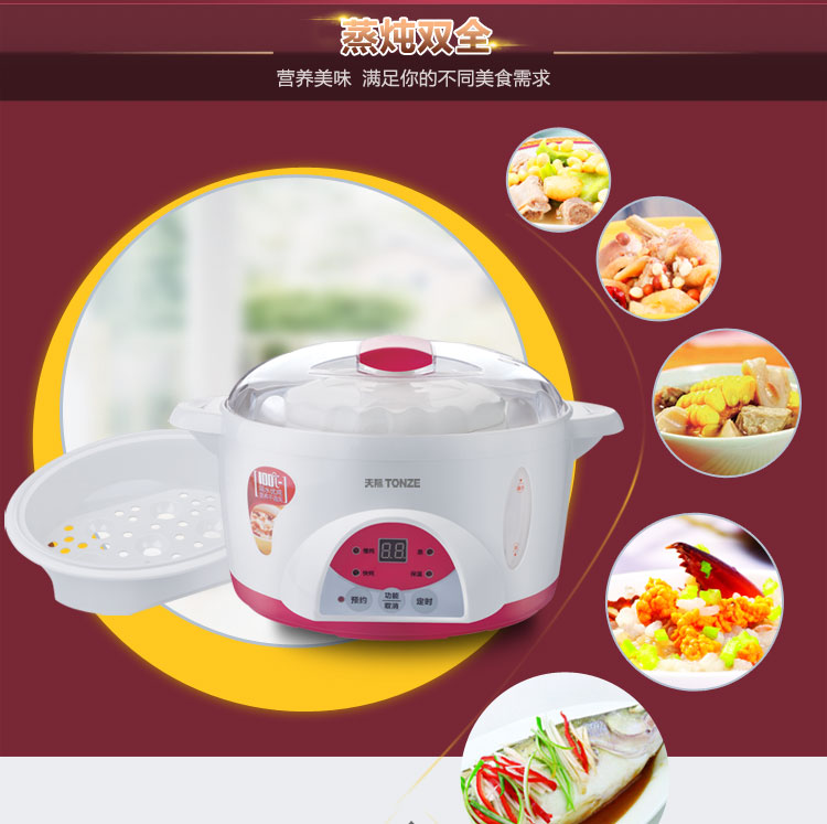 
                                        
                                        天际(TONZE)电炖锅隔水炖 煮粥煲汤BB粥DGD10-10QWG 1L                