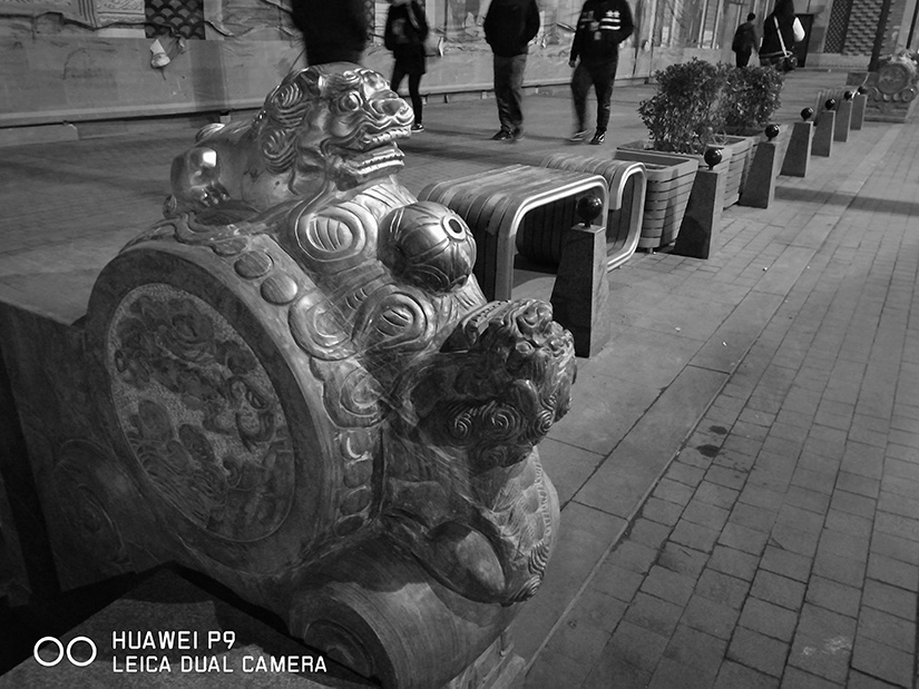 华为P9 评测 相机样张 - 京东手机|手机通讯|手机