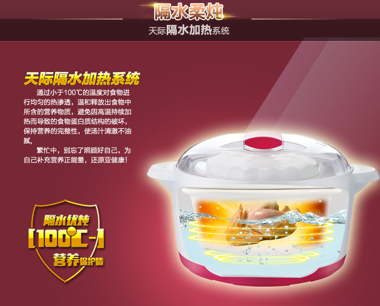 
                                        
                                        天际(TONZE)电炖锅隔水炖 煮粥煲汤BB粥DGD10-10QWG 1L                