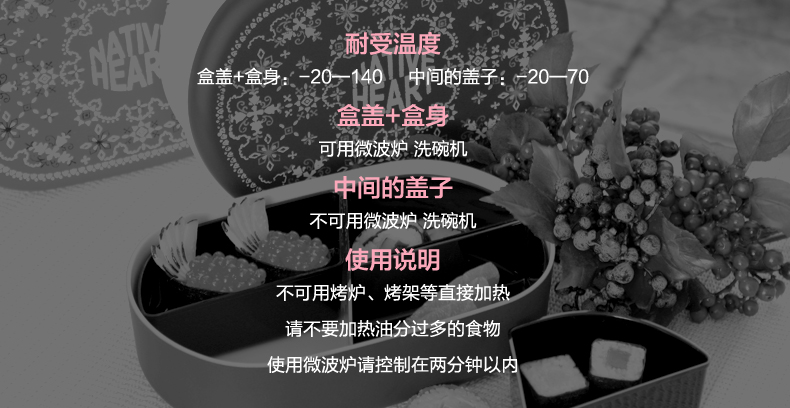 日本进口 双层分格饭盒 大容量便当盒塑料保鲜盒 迷彩2050ML