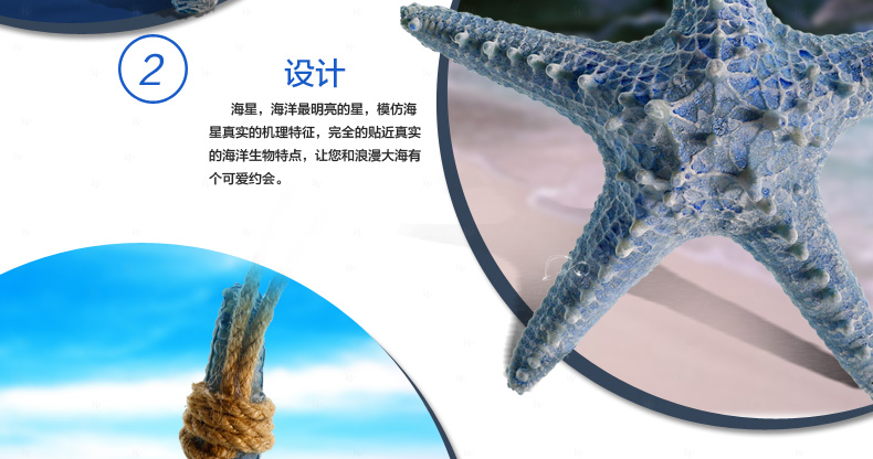 Snnei 阳光海岸丰收海星 创意家居墙饰壁饰 墙上装饰品壁挂