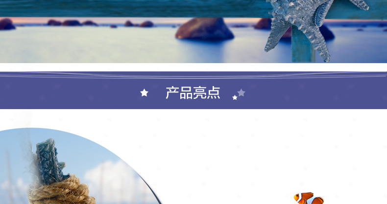 Snnei 阳光海岸丰收海星 创意家居墙饰壁饰 墙上装饰品壁挂