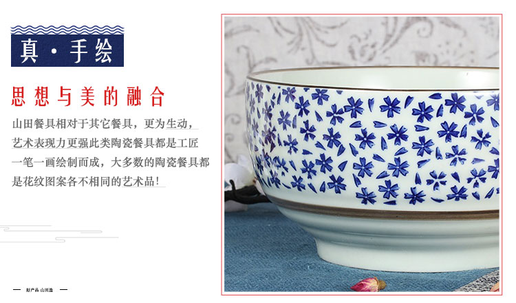 
                                        山田烧汤碗 陶瓷碗大面碗(7英寸)釉下彩日式汤碗(1只装) 雪花                
