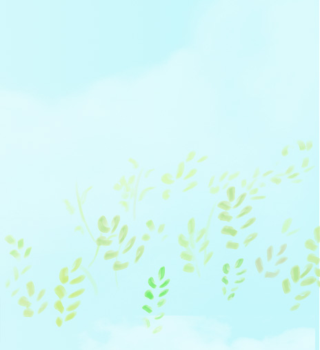 百雀羚京东自营 - 京东个护化妆专题活动