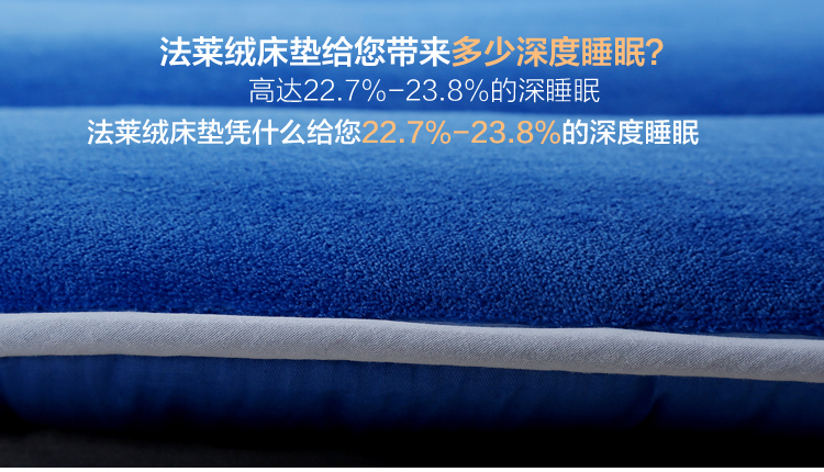 百事（PEPSI）床品床垫 加厚保暖防滑法莱绒床垫床褥 蓝色 1.8米