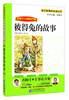 彼得兔的故事/语文新课标必读丛书·名师1+1导读方案