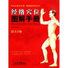 经络穴位图解手册 
经络穴位图解手册