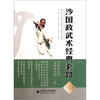 沙国政武术经典套路3
