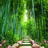Пользовательские фото обои настенные обои Bamboo Forest Stone Road 3D Stereo Living Room Sofa TV Back Home Decor Обои для стен пользовательские 3d обои для фото деревянный мост водопад ландшафт декоративные обои для спальни для спальни 3d living room decor painting