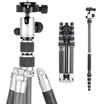 Beno IC09T Reversible Variable Monopod Carbon Fiber Tripod PTZ Set SLR Micro Single Camera Lightweight Portable