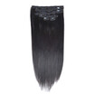 BHF Hair Full Head Clip Hair Extensions Human Hair Real Remy Clip in Hair Extensions Balayage Hair Color 120g