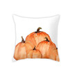 Watercolor Pumpkin Throw Pillow Covers Halloween Thanksgiving Day Cotton Linen Car Sofa Pillowcase Home Decor