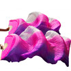 New Arrivals Stage Performance Dance Fans 100 Silk Fans Colored 180cm Women Belly Dance Silk Fans 2pcs PurpleRoseWhite stripes
