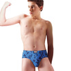 Jingdong supermarket Healthy boy student version 2 cotton does not stimulate the classic triangle boys pants color L