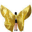 2017 High Quality Egyptian Opening Isis Belly Dance Wings Dance Accessories Wings Sale Without Stick Brand New