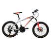 Phoenix Bike Phoenix 20-inch mountain bike youth speed bike 21 speed shock absorption primary school boys&girls city car orange -6-789 years old 13m-16m