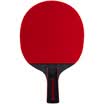 Agnite Table tennis bat