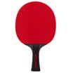 Agnite Table tennis bat