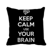Quote Keep Calm Use Your Brain Black Square Throw Pillow Insert Cushion Cover Home Sofa Decor Gift
