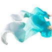 New Arrivals Stage Performance Dance Fans 100 Silk Fans Colored 180cm Belly Dance Silk Fans 2pcs TurquoiseLight TurquoiseWhite