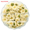 Top-Grade High Quality Original Chinese Chrysanthemum Tea Chrysanthemum morifolium Ramat tinned FlowerScented Tea