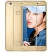 ESCASE Huawei Glory 8 Youth Edition Steel Film Glory 8 Youth Glass Film Full Cover HD Explosion-proof Anti-fingerprint Mobile Phone Foil Full Screen Gold