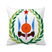 Djibouti National Emblem Country Symbol Square Throw Pillow Insert Cushion Cover Home Sofa Decor Gift