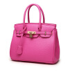 Womens Handbag Casual Shoulder Bags Cross-Body Bag Messenger Bag