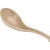 Shell HUSKS WARE creative environmental soup spoon hot pot spoon H14-SS044