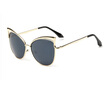 Cat Eye Stylish Sunglasses Charming Hollow Out Frames Eyeglasses